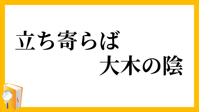 立ち寄らば大木の陰