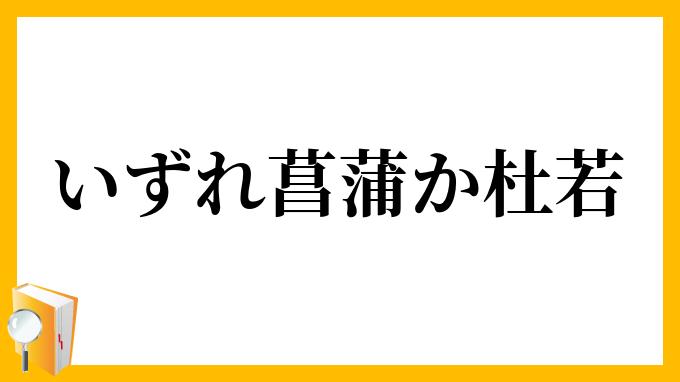 いずれ菖蒲か杜若