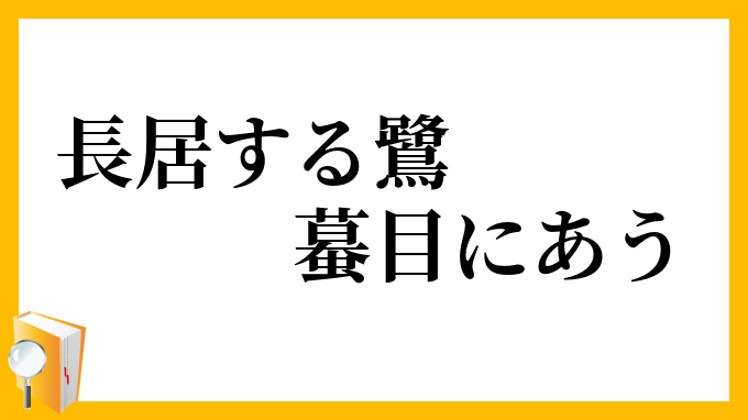 長居する鷺蟇目に遭う