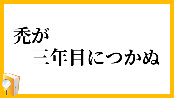 禿が三年目につかぬ