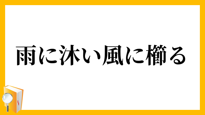 雨に沐い風に櫛る