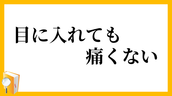目に入れても痛くない