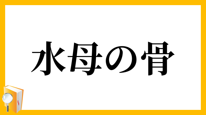 水母の骨