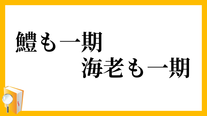 鱧も一期、海老も一期