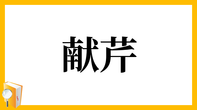 献芹