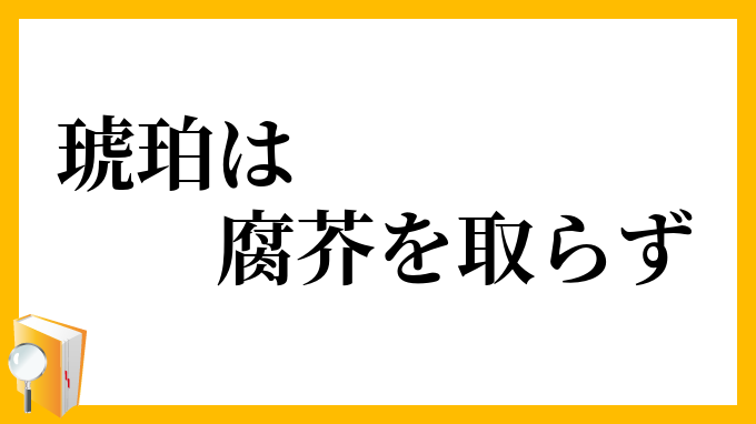 琥珀は腐芥を取らず