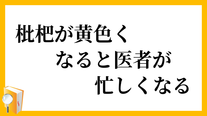 枇杷が黄色くなると医者が忙しくなる