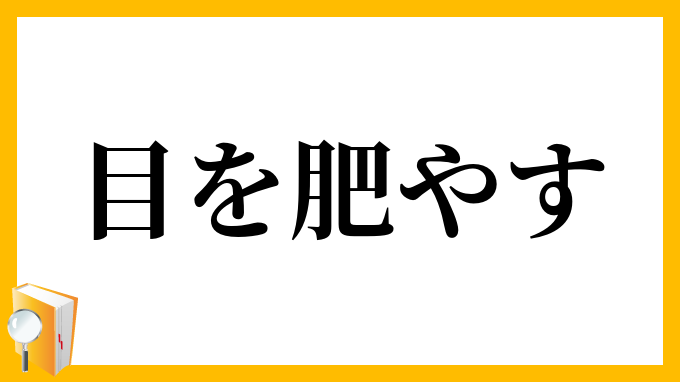 目を肥やす
