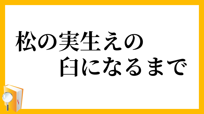 松の実生えの臼になるまで