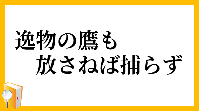逸物の鷹も放さねば捕らず