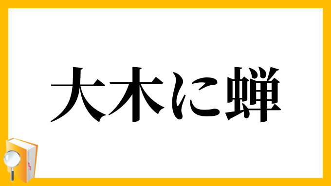 大木に蝉
