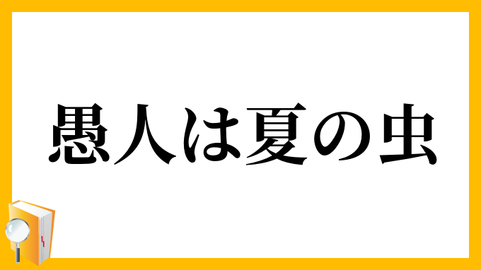 愚人は夏の虫