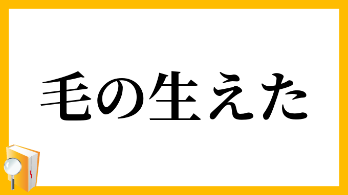 毛の生えた