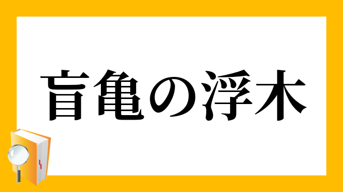 盲亀の浮木 もうきのふぼく の意味