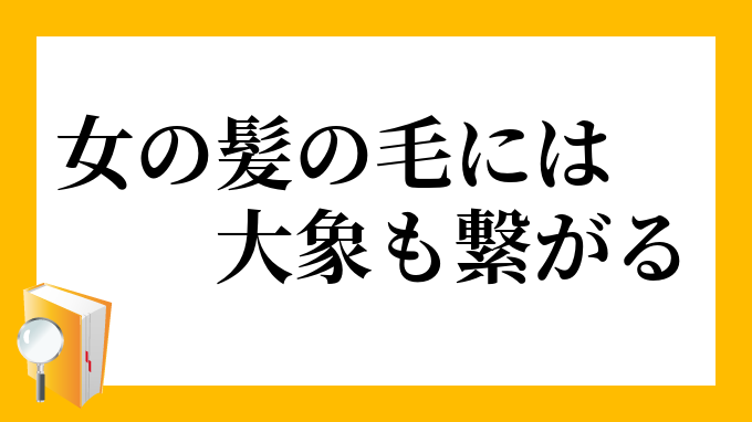 女の髪の毛には大象も繋がる おんなのかみのけにはたいぞうもつながる の意味