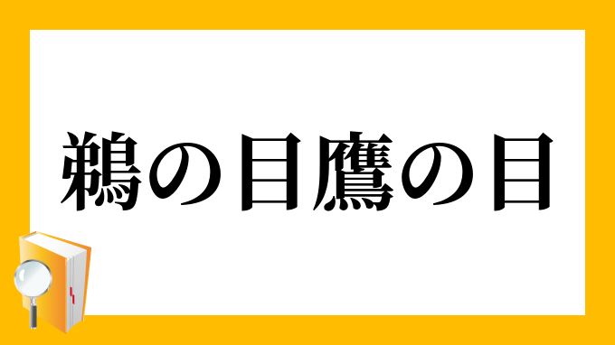 ウの目タカの目