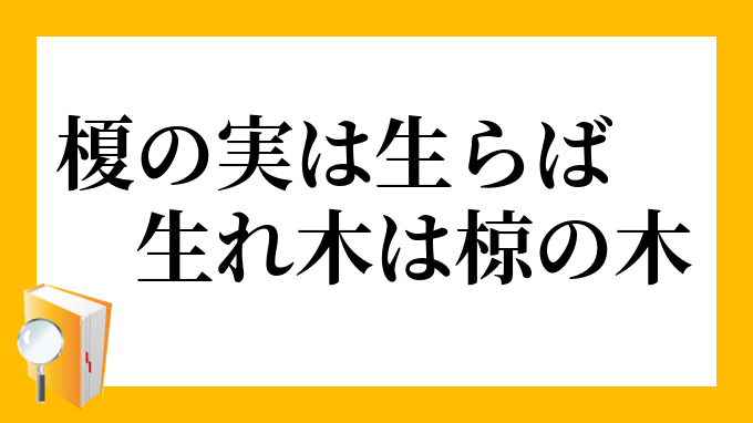 榎の実は生らば生れ木は椋の木 えのみはならばなれきはむくのき の意味