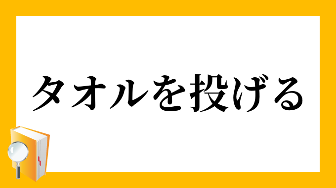 タオルを投入 いみ ストア