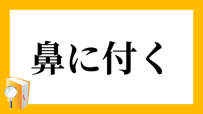 鼻に付く はなにつく の意味