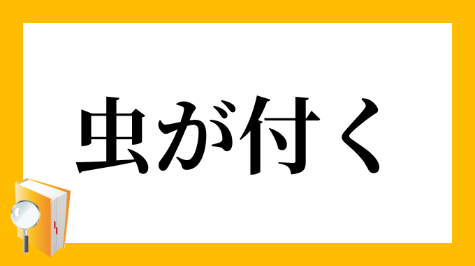 虫が付く むしがつく の意味