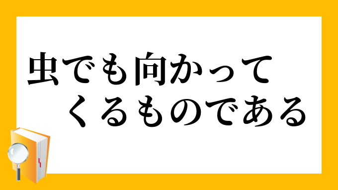 虫でも向かってくるものである むしでもむかってくるものである の意味