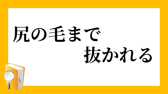 尻の毛まで抜かれる しりのけまでぬかれる の意味